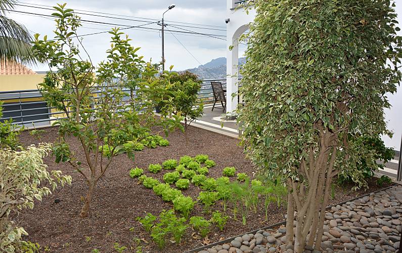 Vivenda Ilha da Madeira Funchal Casa rural - 