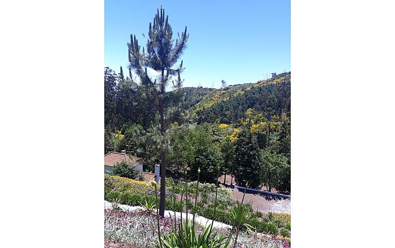 Casa Ilha da Madeira Santa Cruz Casa rural - 