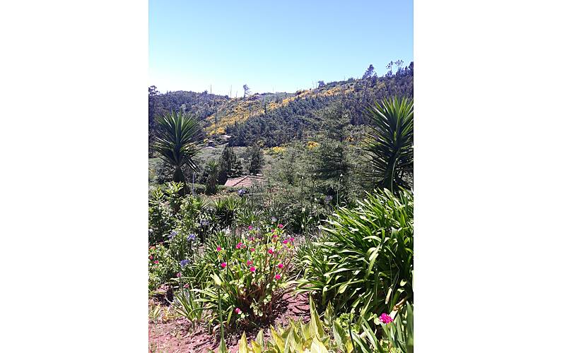 Casa Ilha da Madeira Santa Cruz Casa rural - 