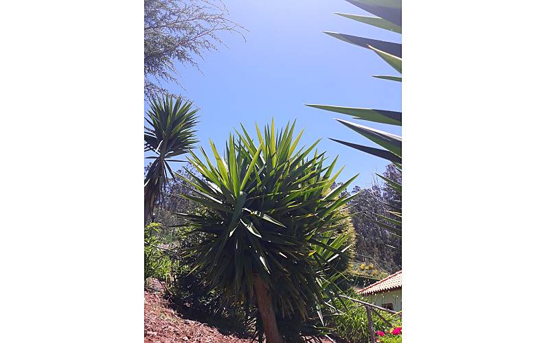 Casa Ilha da Madeira Santa Cruz Casa rural - 