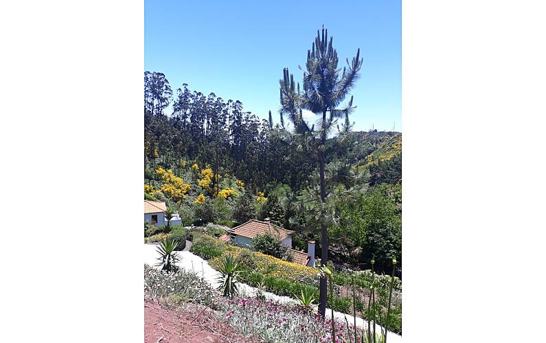 Casa Ilha da Madeira Santa Cruz Casa rural - 