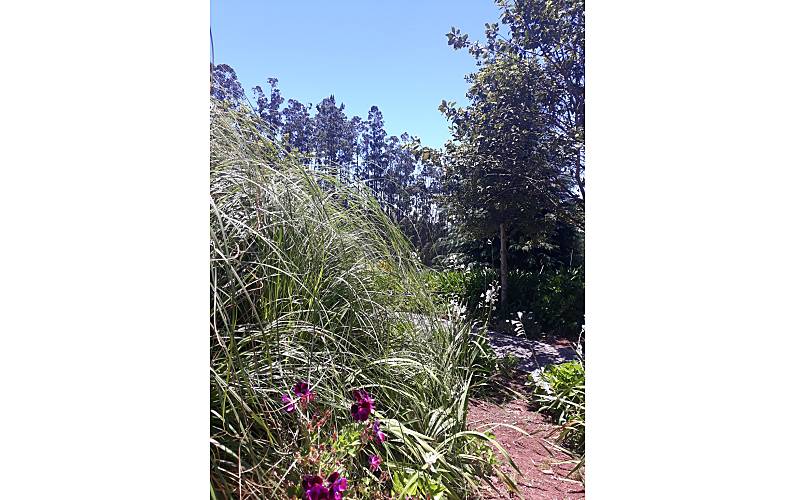 Casa Ilha da Madeira Santa Cruz Casa rural - 