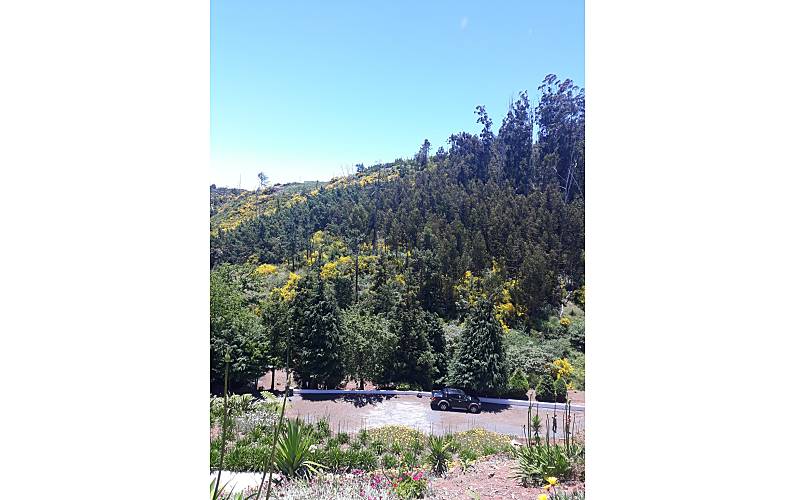 Casa Ilha da Madeira Santa Cruz Casa rural - 