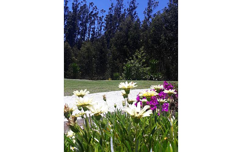 Casa Ilha da Madeira Santa Cruz Casa rural - 