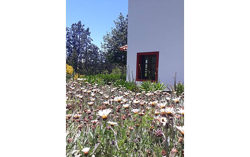 Casa Ilha da Madeira Santa Cruz Casa rural - 