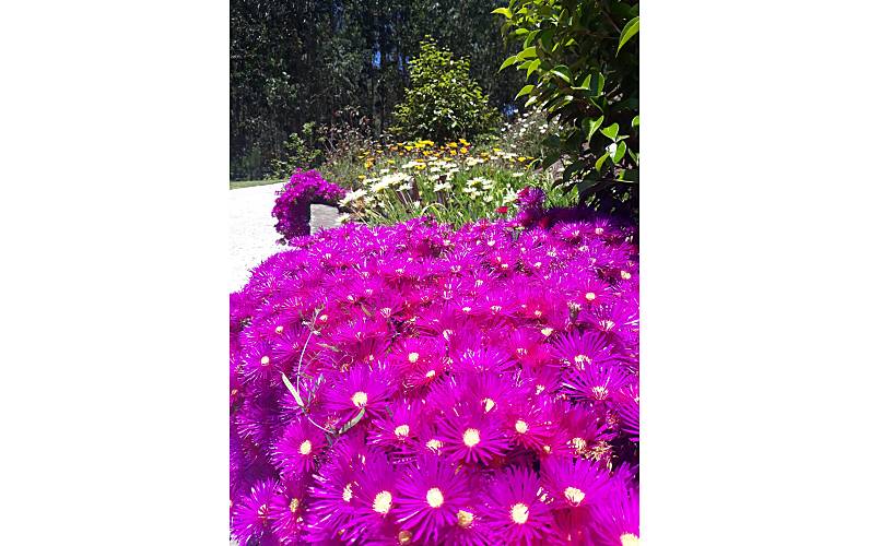 Casa Ilha da Madeira Santa Cruz Casa rural - 