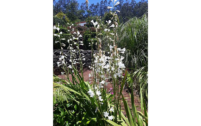 Casa Ilha da Madeira Santa Cruz Casa rural - 