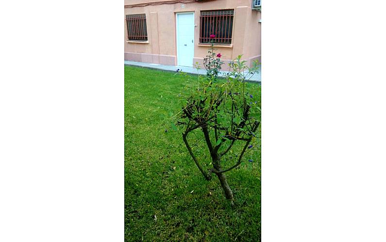 Apartamento Tarragona Salou Apartamento - 