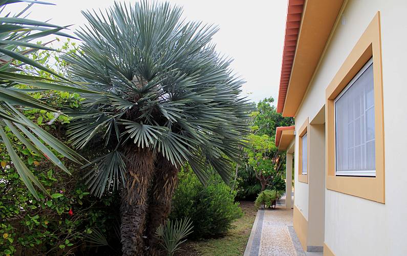 Casa Ilha de Porto Santo Porto Santo Casa rural - 