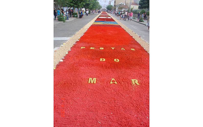 Estúdio Actividades próximas Aveiro Ovar Apartamento - Actividades próximas