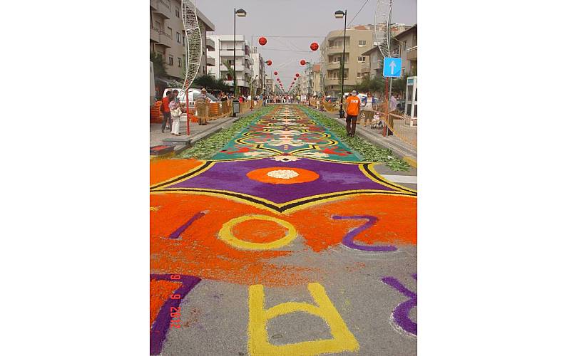 Estúdio Actividades próximas Aveiro Ovar Apartamento - Actividades próximas