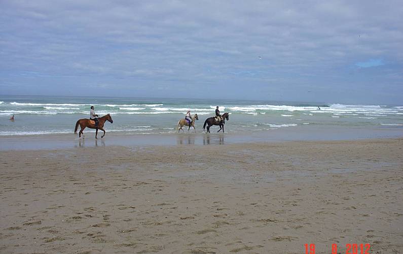 Estúdio Arredores Aveiro Ovar Apartamento - Arredores