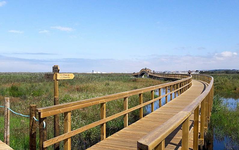 Sun, Arredores Aveiro Ovar Apartamento - Arredores