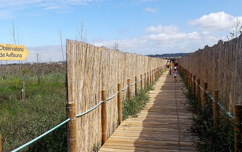 Sun, Arredores Aveiro Ovar Apartamento - Arredores