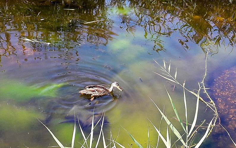 Sun, Arredores Aveiro Ovar Apartamento - Arredores