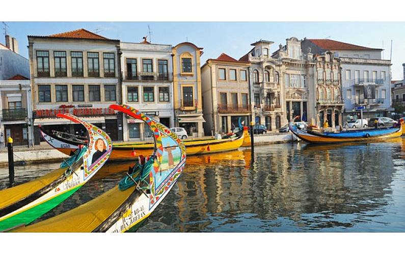 Sun, Arredores Aveiro Ovar Apartamento - Arredores