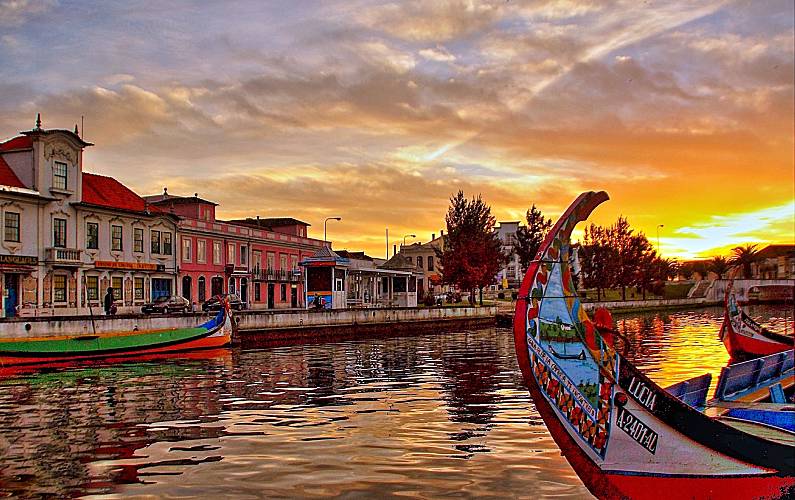 Sun, Arredores Aveiro Ovar Apartamento - Arredores