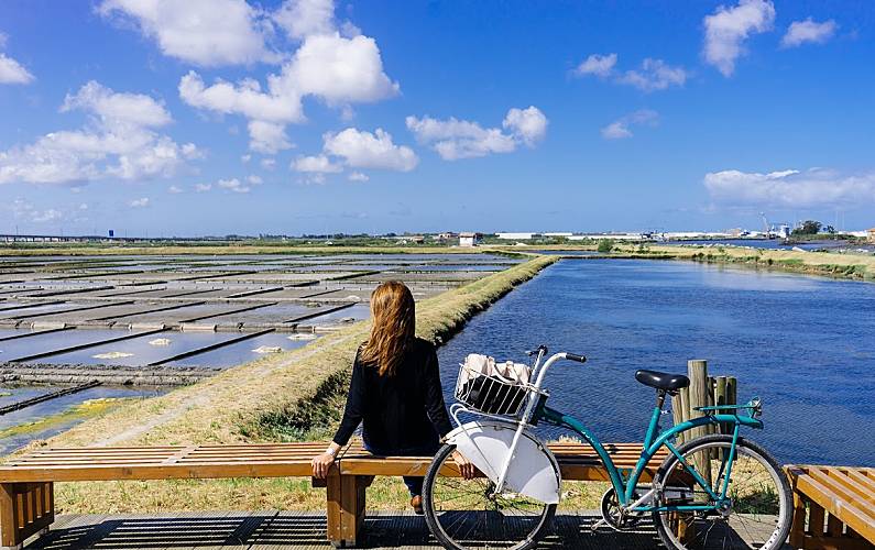 Sun, Arredores Aveiro Ovar Apartamento - Arredores