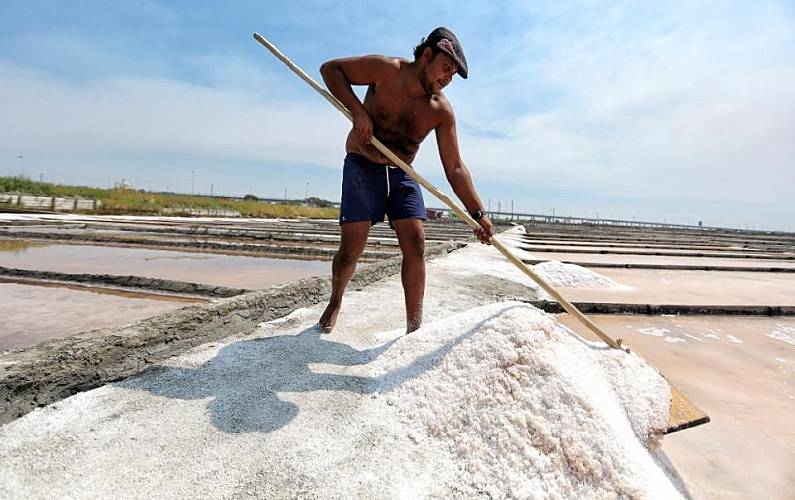 Sun, Arredores Aveiro Ovar Apartamento - Arredores