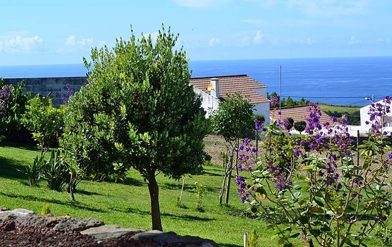 Apartamento Ilha de São Miguel Nordeste Apartamento - 
