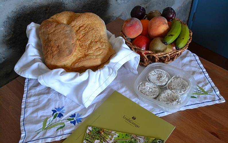 Apartamento Ilha de São Miguel Nordeste Apartamento - 