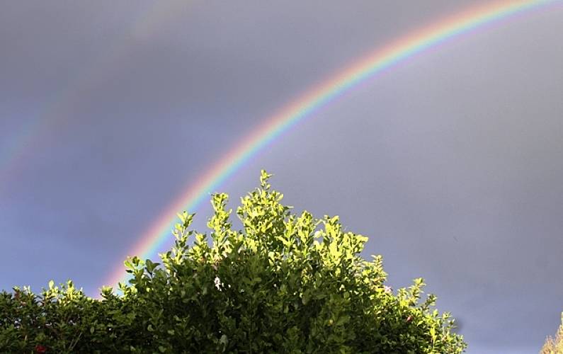 Quinta Arredores Ilha de São Miguel Ponta Delgada Casa rural - Arredores