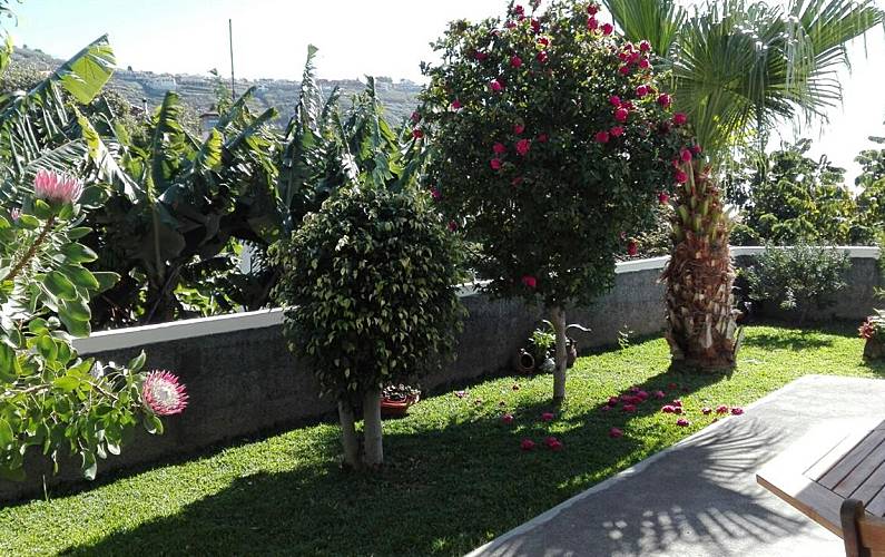 Casa Ilha da Madeira Calheta - R.A.M. casa - 