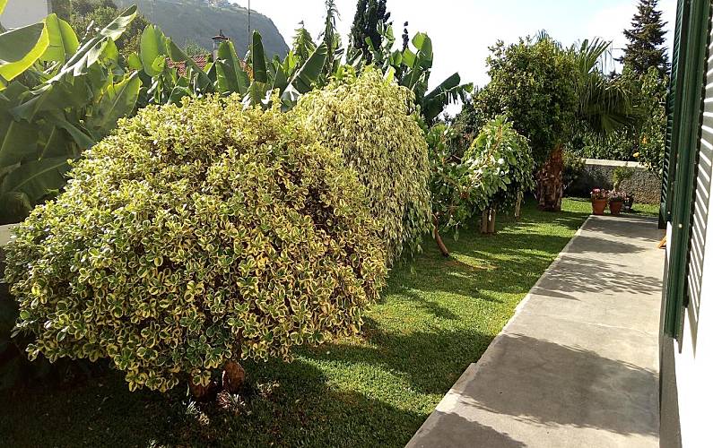 Casa Ilha da Madeira Calheta - R.A.M. casa - 