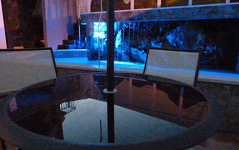 Casa Piscina Ilha da Madeira Ribeira Brava vivenda - Piscina