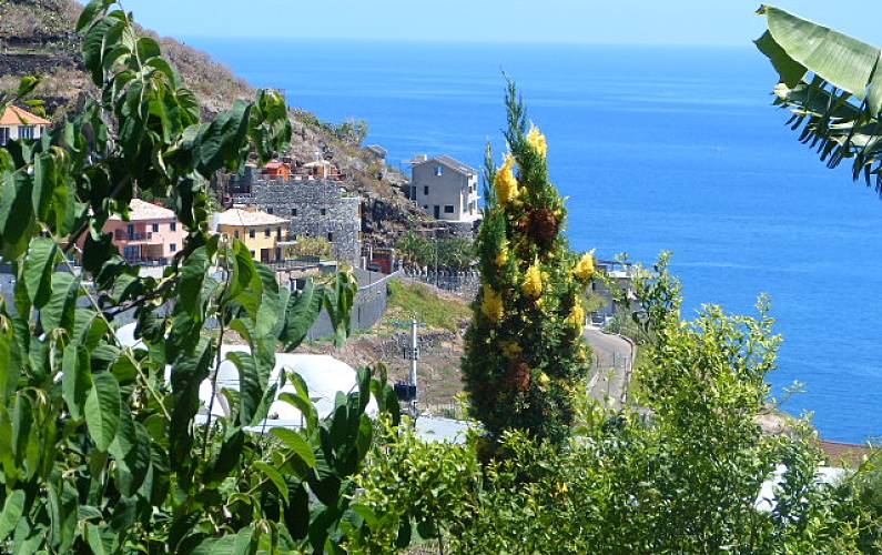 Casa Arredores Ilha da Madeira Ribeira Brava vivenda - Arredores