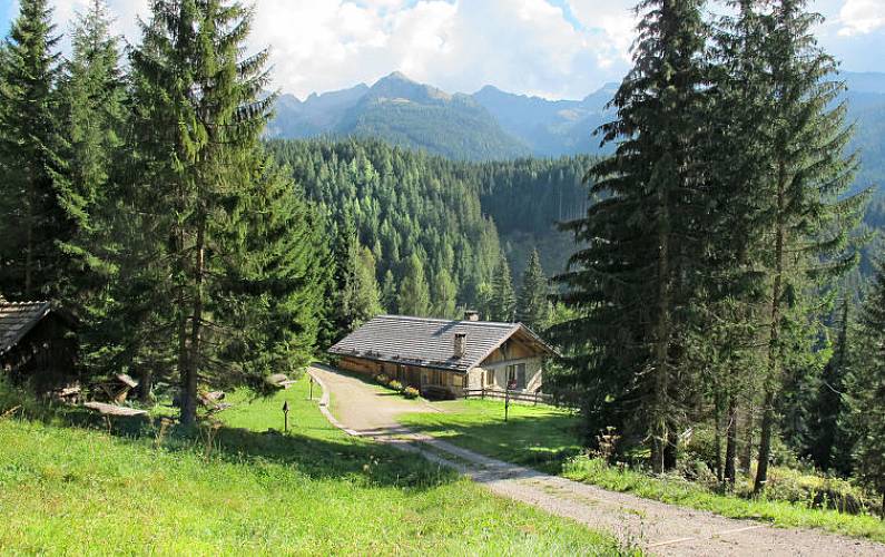 Appartamento In Affitto San Martino Di Castrozza Forte