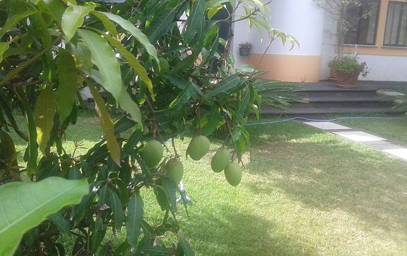 Casa Ilha Terceira Angra do Heroísmo casa - 