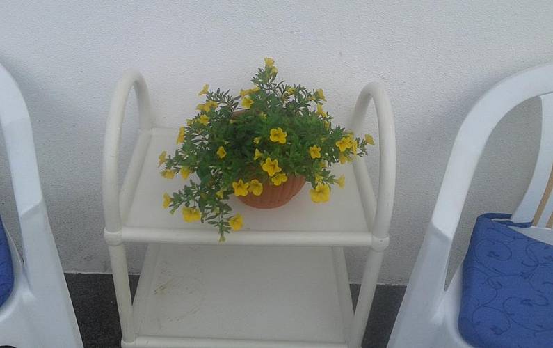 Casa Ilha Terceira Angra do Heroísmo casa - 