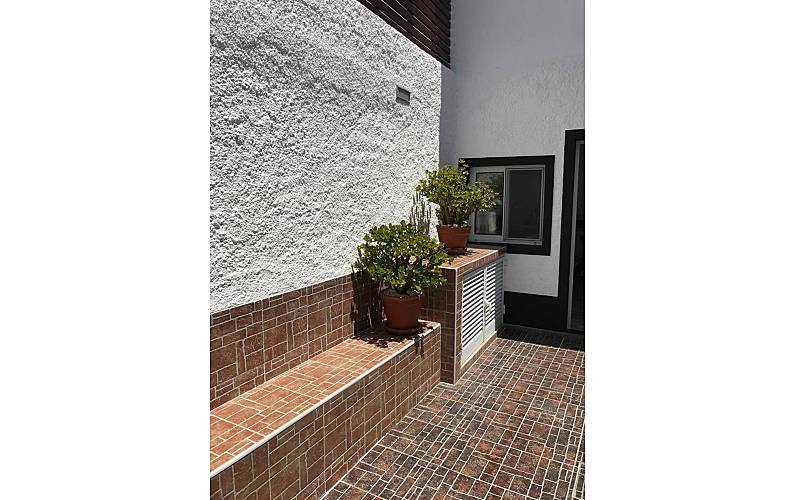 Apartamento Ilha de São Miguel Ribeira Grande Apartamento - 