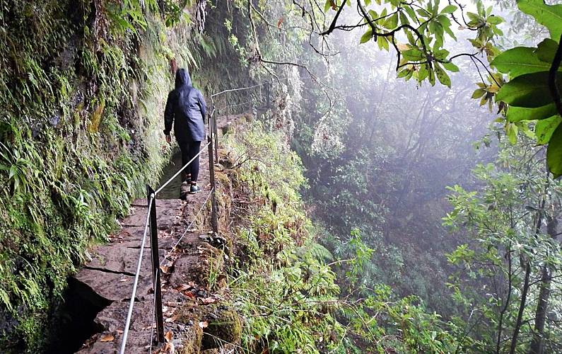 Apartamento Ilha de São Miguel Ribeira Grande Apartamento - 
