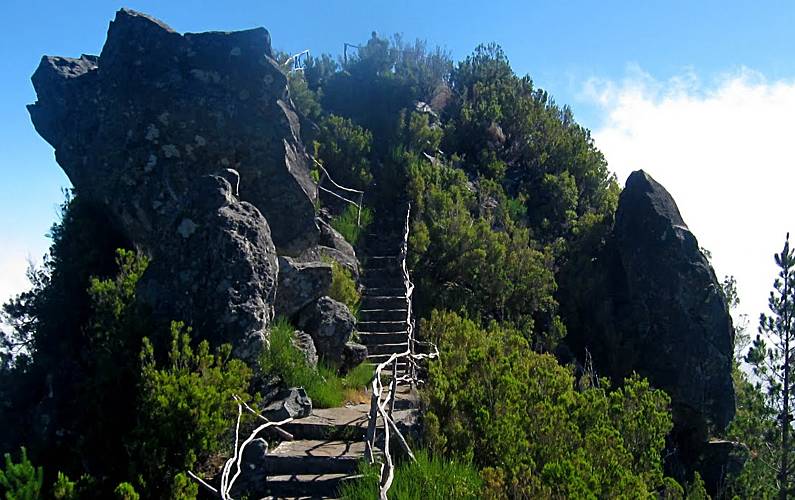 Apartamento Ilha de São Miguel Ribeira Grande Apartamento - 