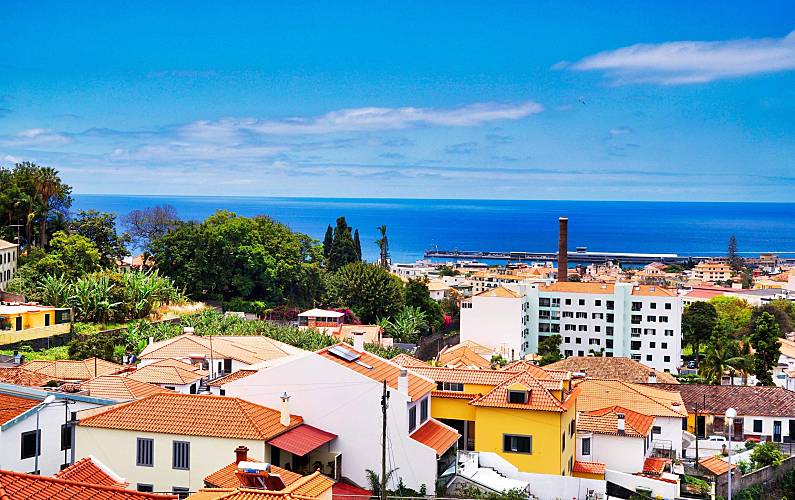 Apartamento Ilha da Madeira Funchal Apartamento - 