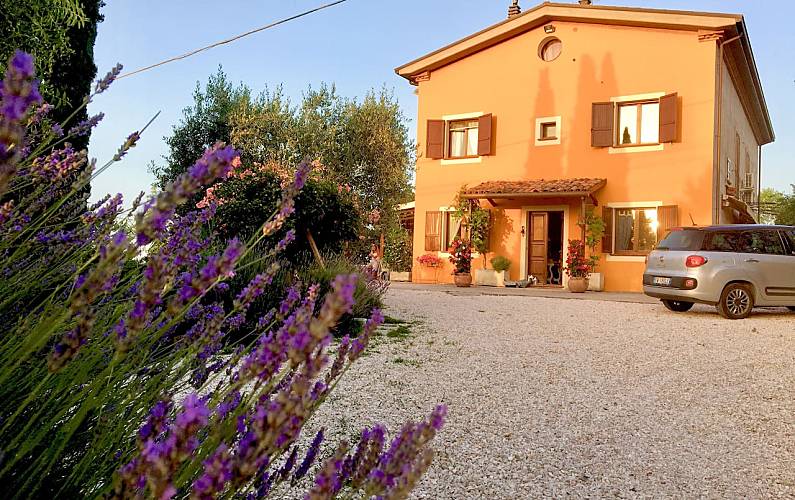 Apartamento com 1 quartos a 10 km da praia Rimini - Vistas da casa