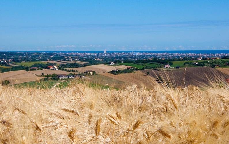 Apartamento Vistas da casa Rimini San Clemente Apartamento - Vistas da casa
