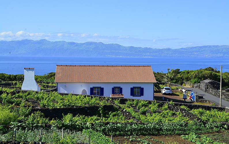 Casa Ilha do Pico Lajes do Pico casa - 