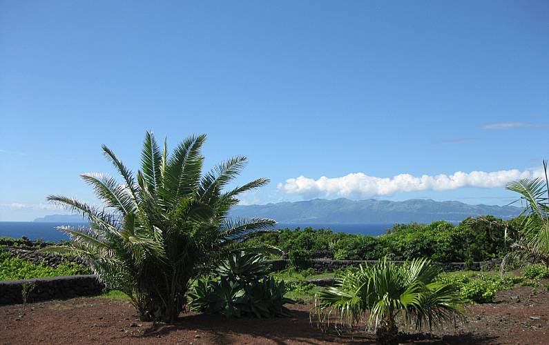 Casa Ilha do Pico Lajes do Pico casa - 