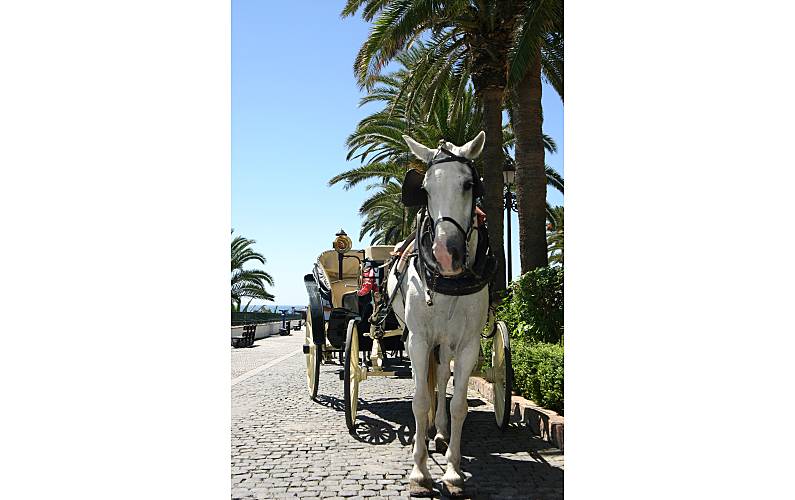 Praia Actividades próximas Málaga Marbella Apartamento - Actividades próximas