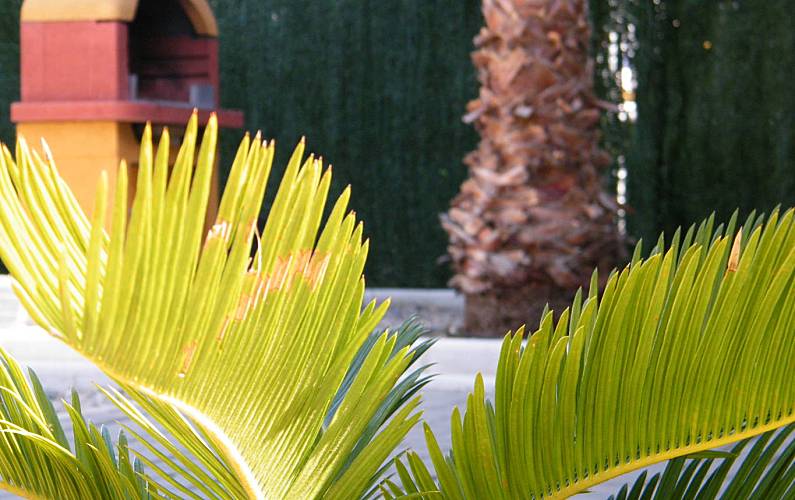 Casa Jardim Almeria Vera casa - Jardim