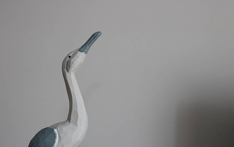 Apartamento Ilha da Madeira Funchal Apartamento - 