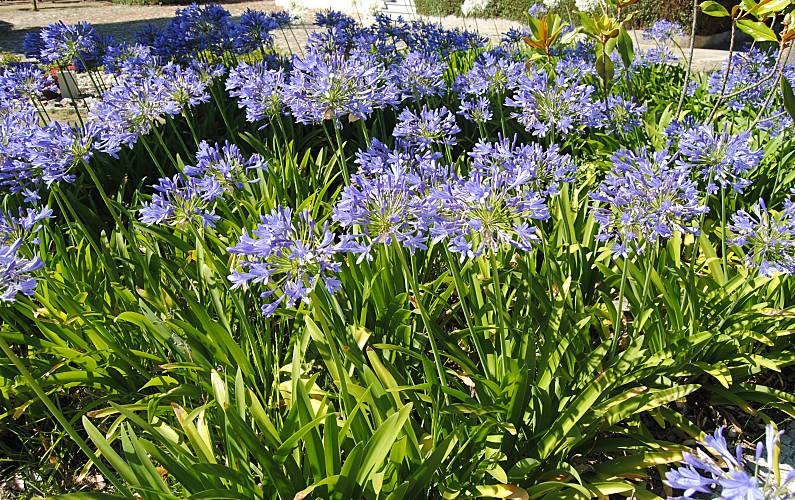Quintinha Viseu Nelas Casa rural - 