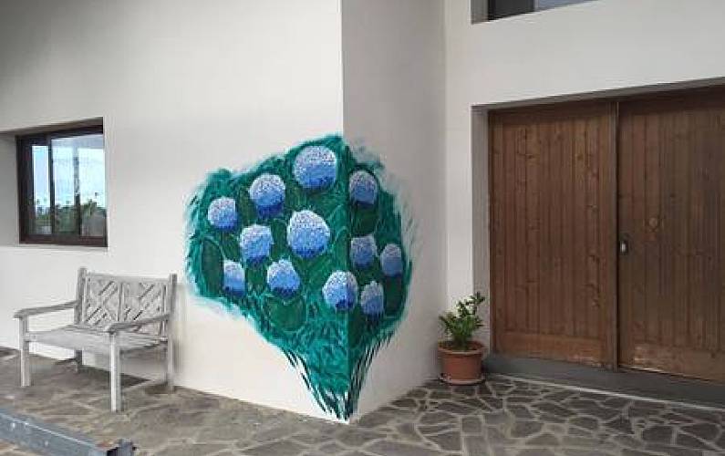 Vivenda Exterior da casa Ilha de São Miguel Ponta Delgada Villa rural - Exterior da casa