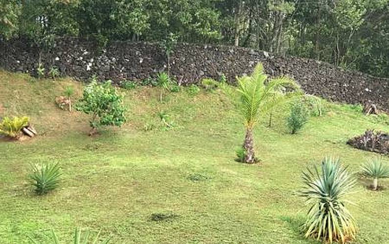 Vivenda Jardim Ilha de São Miguel Ponta Delgada Villa rural - Jardim