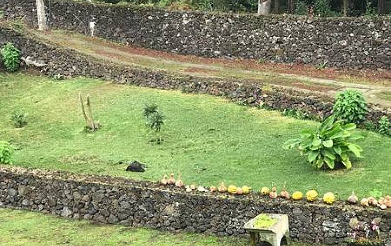 Vivenda Jardim Ilha de São Miguel Ponta Delgada Villa rural - Jardim