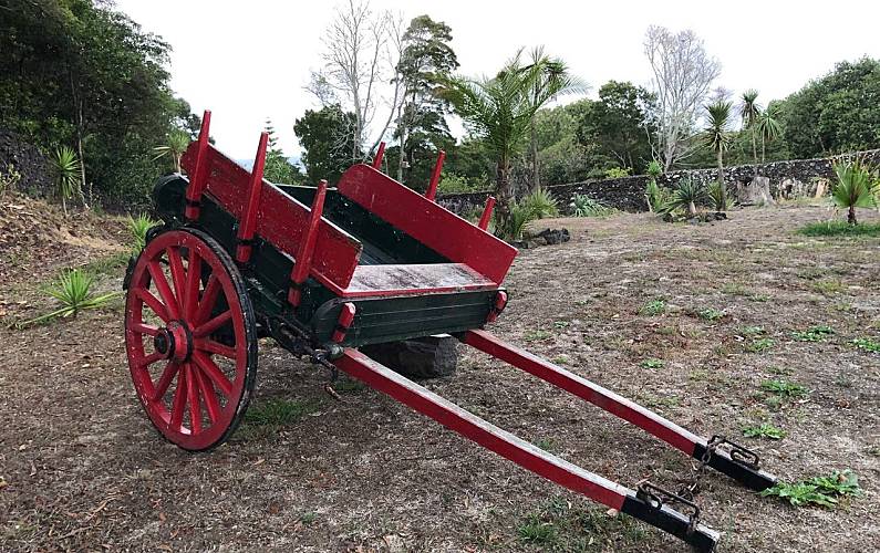 Vivenda Jardim Ilha de São Miguel Ponta Delgada Villa rural - Jardim