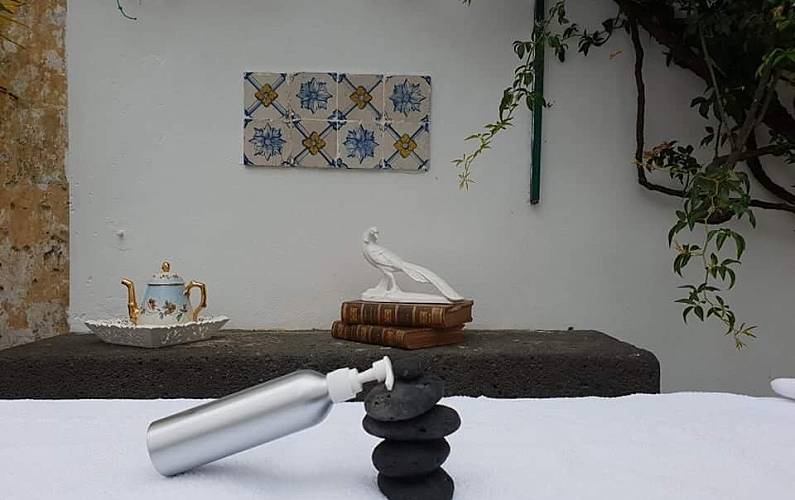 Casa Jardim Ilha de São Miguel Ponta Delgada casa - Jardim